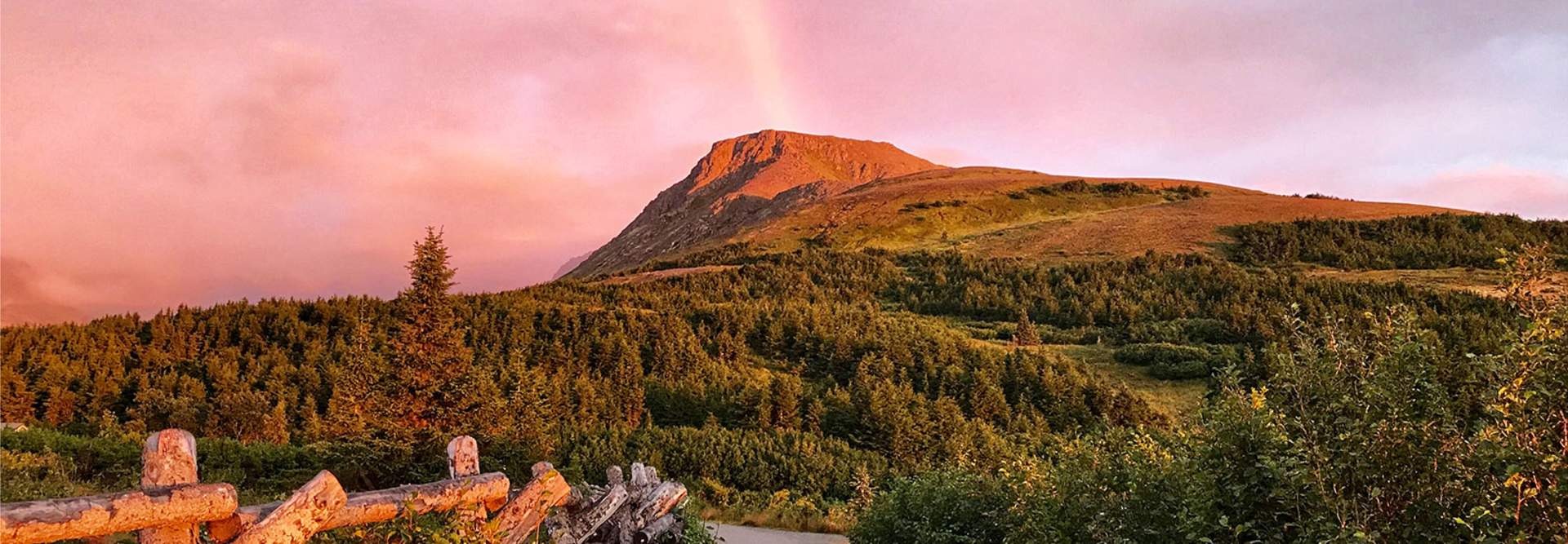 imgi_17_Flattop_Teri_Hendricks_bdd1042b-d8dd-4561-93f0-ef144d5b9077