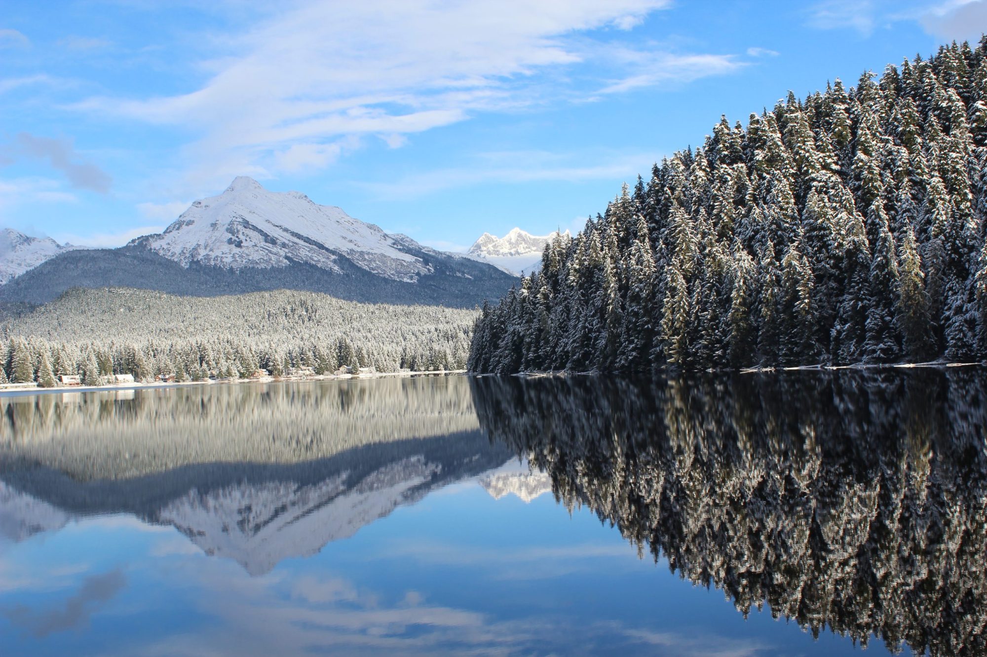 imgi_30_pexels-jennifer-willisrivera-9352356-scaled